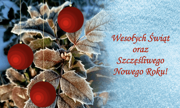 Życzymy wesołych Świąt Bożego Narodzenia oraz Szczęśliwego Roku 2026!
